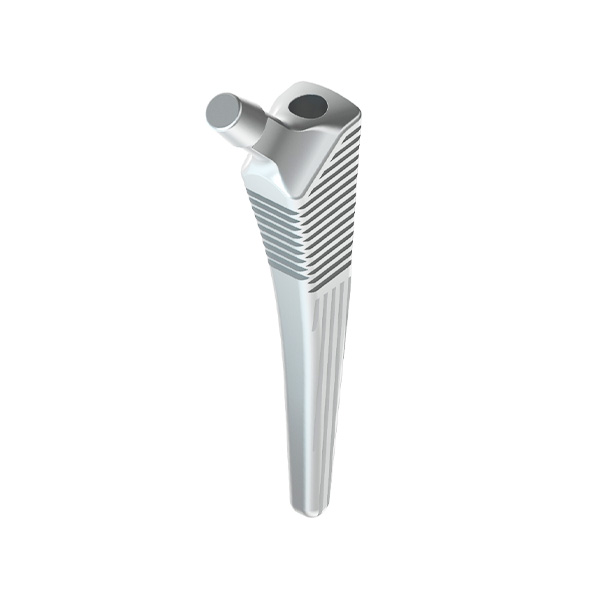 Hip Stem