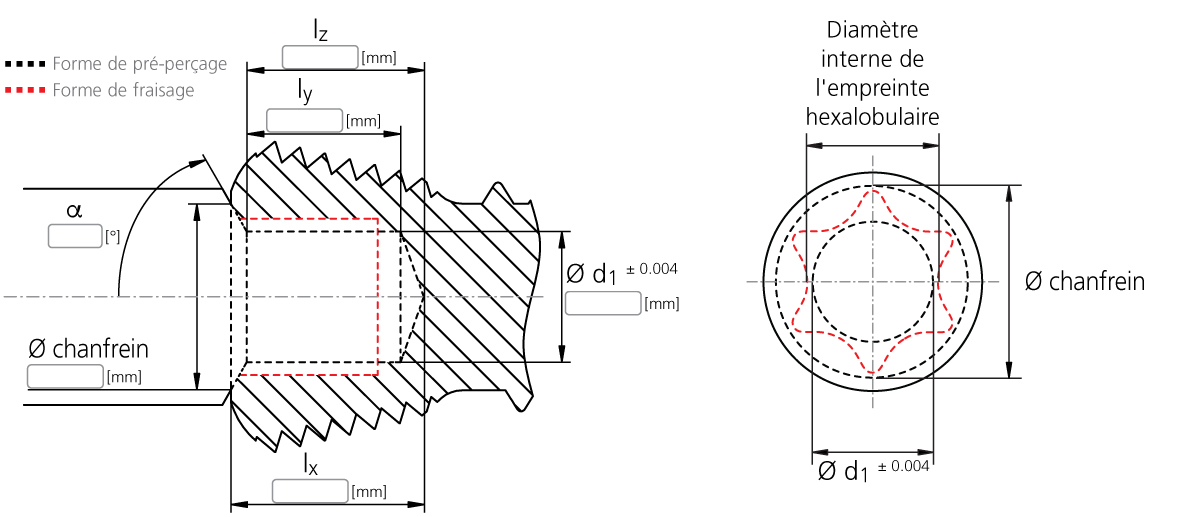 MikronTool-Products-Description-customer-CrazyDrill-Hexalobe_FRA