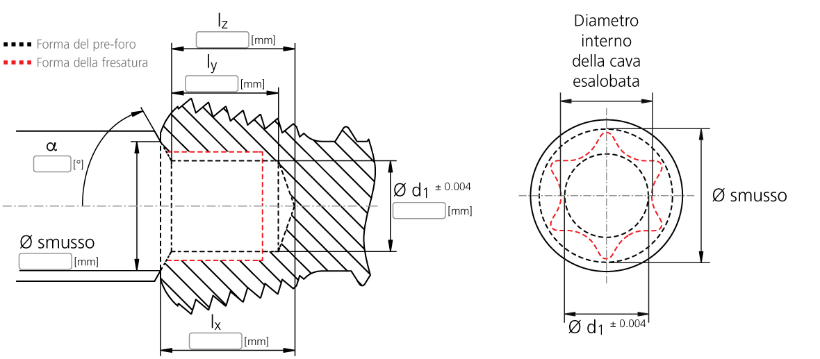 MikronTool-Products-Description-customer-CrazyDrill-Hexalobe_ITA