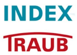 Logo Index Traub